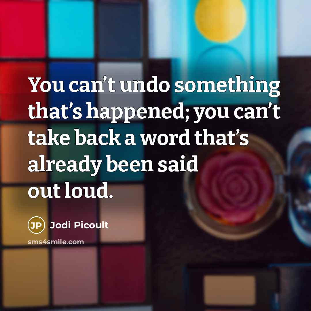 “You can’t undo something that’s happened; you can’t take back…” quote by Jodi Picoult