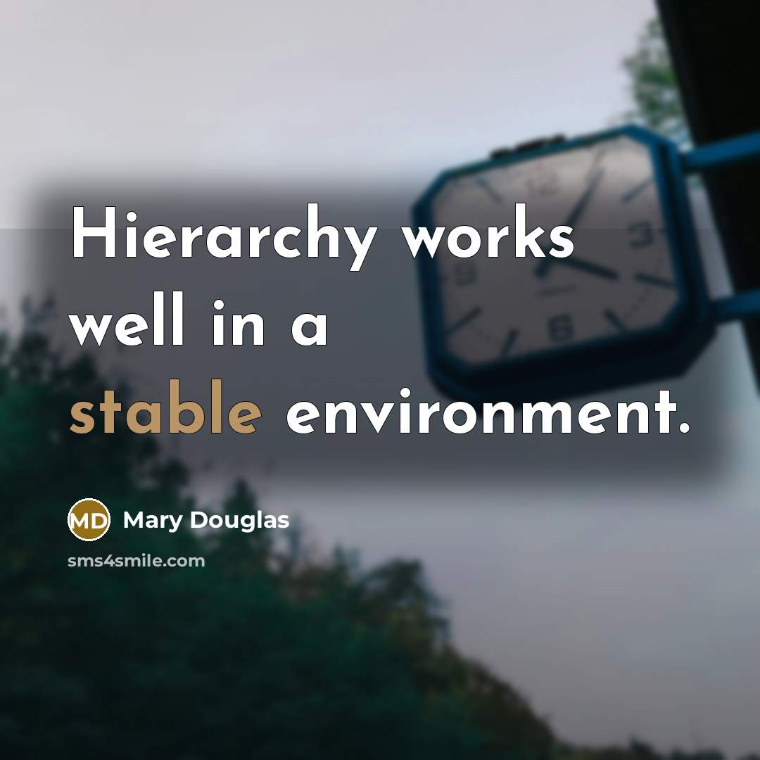 “Hierarchy works well in a stable environment.…” quote by Mary Douglas
