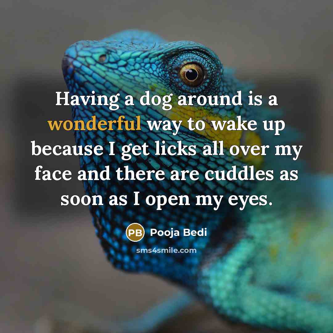 “Having a dog around is a wonderful way to wake up because I get licks all over my face and there are cuddles as soon as I open my eyes.” quote by Pooja Bedi