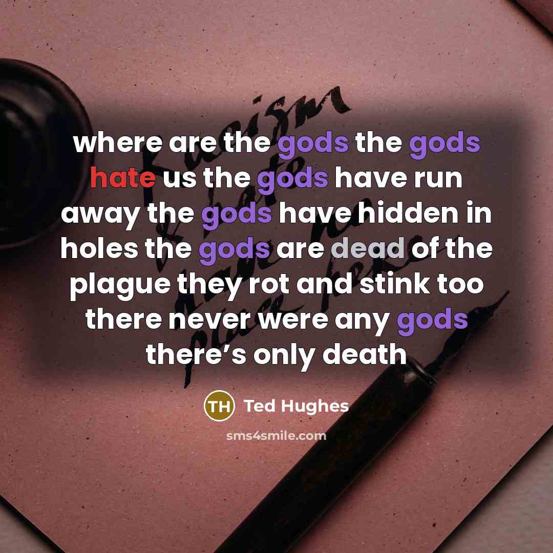 “where are the gods the gods hate us the gods have run away the gods have hidden in holes the gods are dead of the plague they rot and stink too there never were any gods there’s only death” quote by Ted Hughes