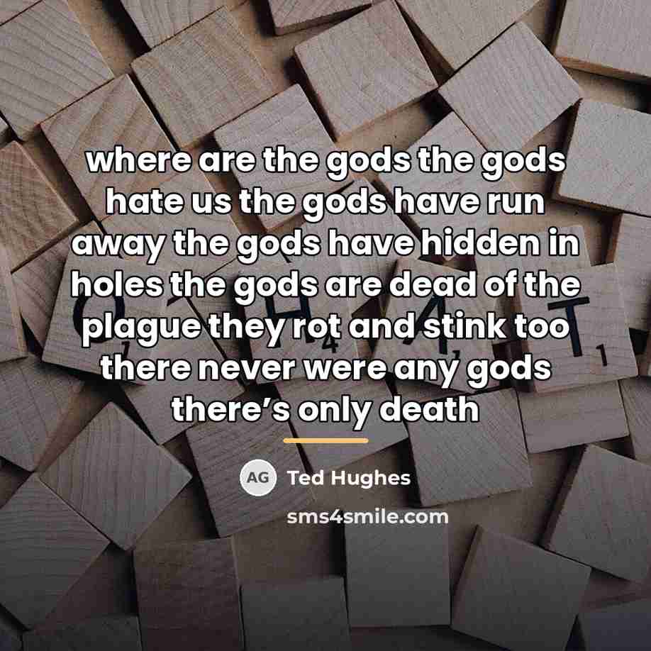 “where are the gods the gods hate us the gods…” quote by Ted Hughes