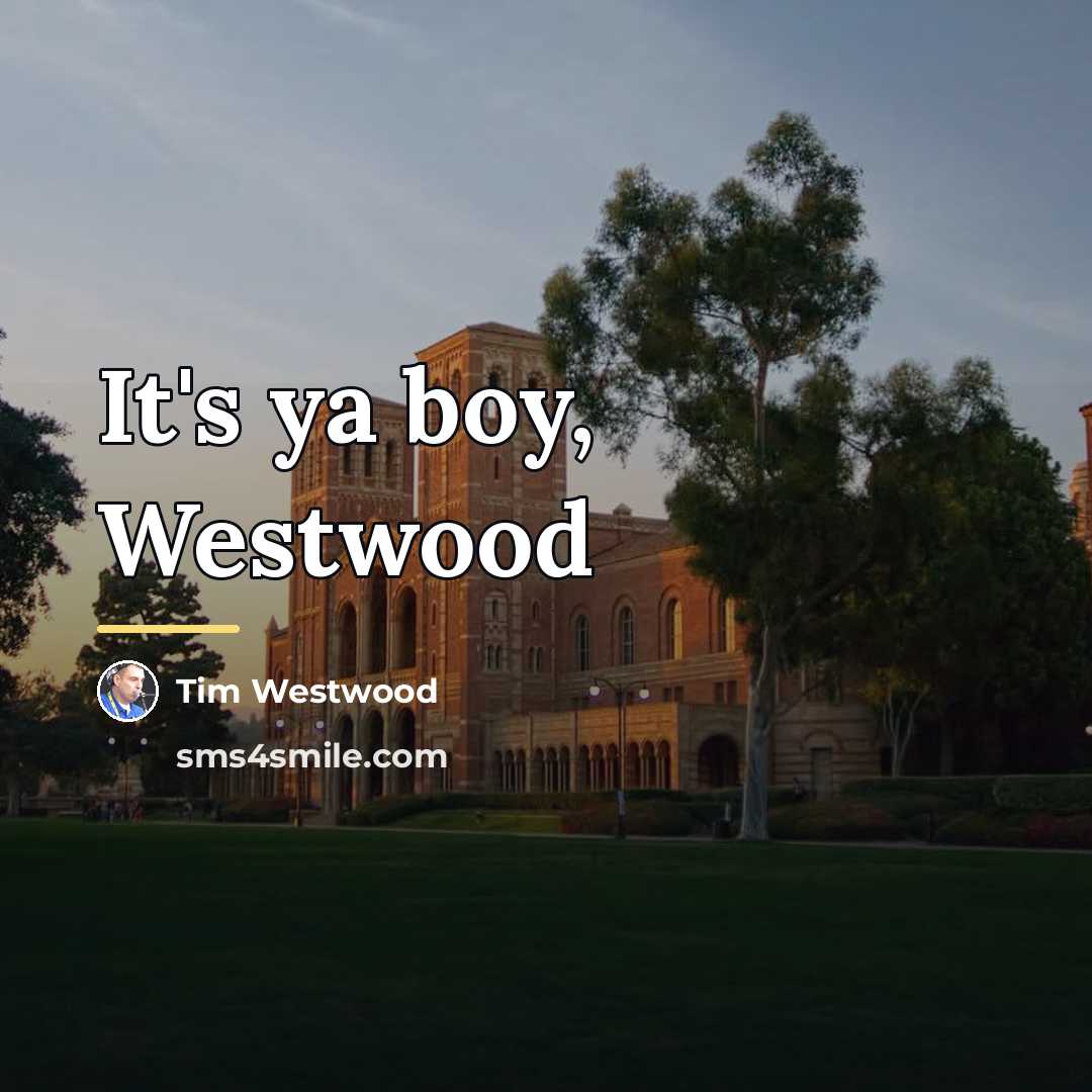 “It's ya boy, Westwood…” quote by Tim Westwood