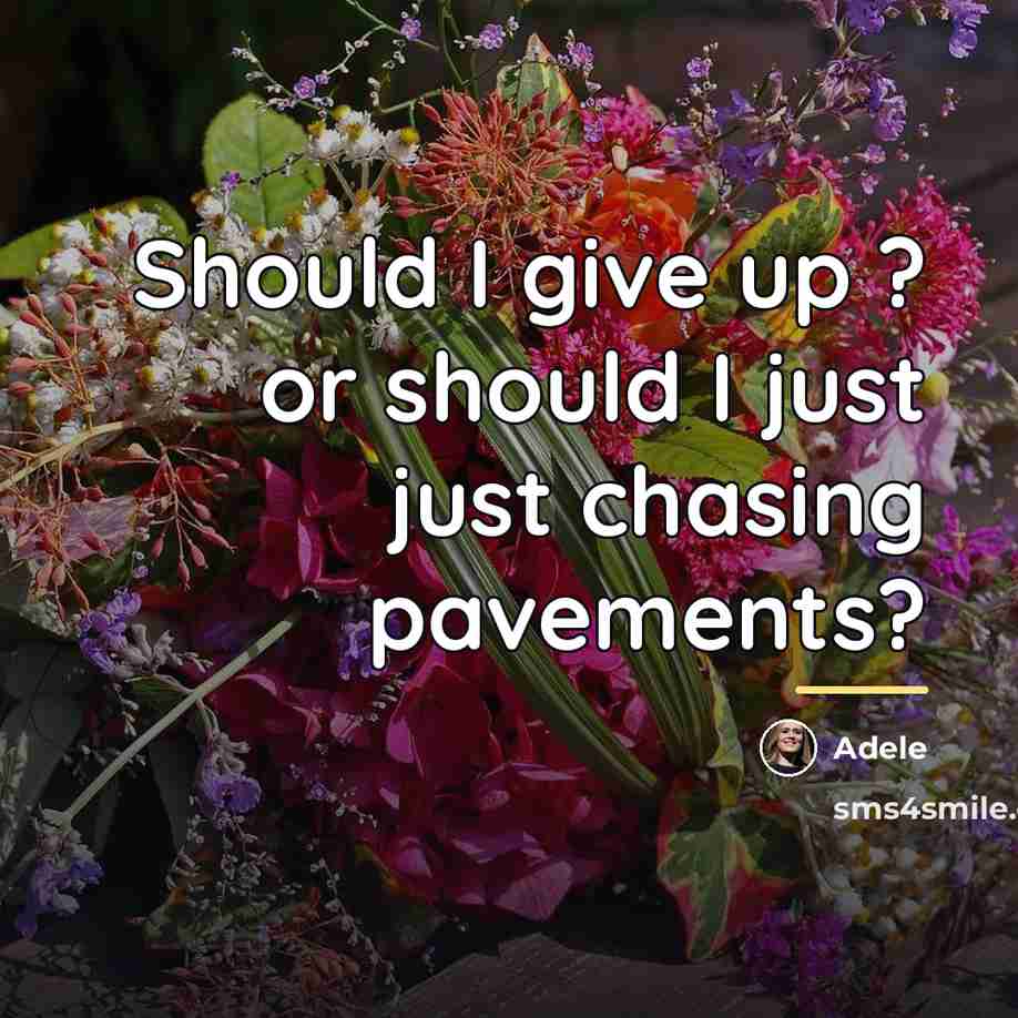 “Should I give up ? or should I just just…” quote by Adele
