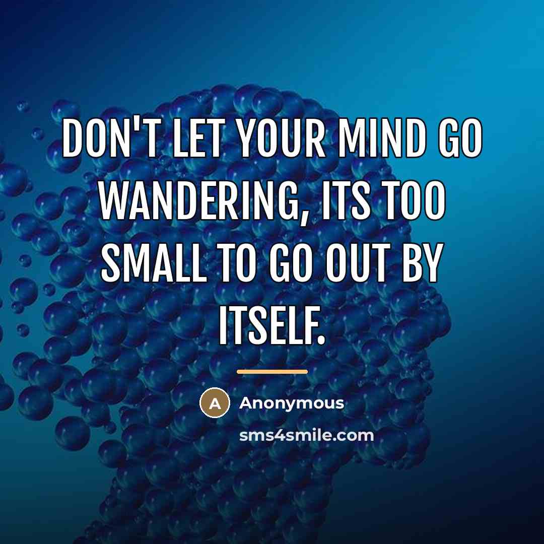 “Don't let your mind go wandering, its too small to…” quote by Anonymous