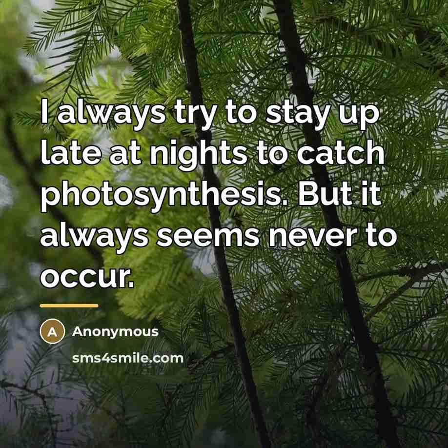 “I always try to stay up late at nights to…” quote by Anonymous