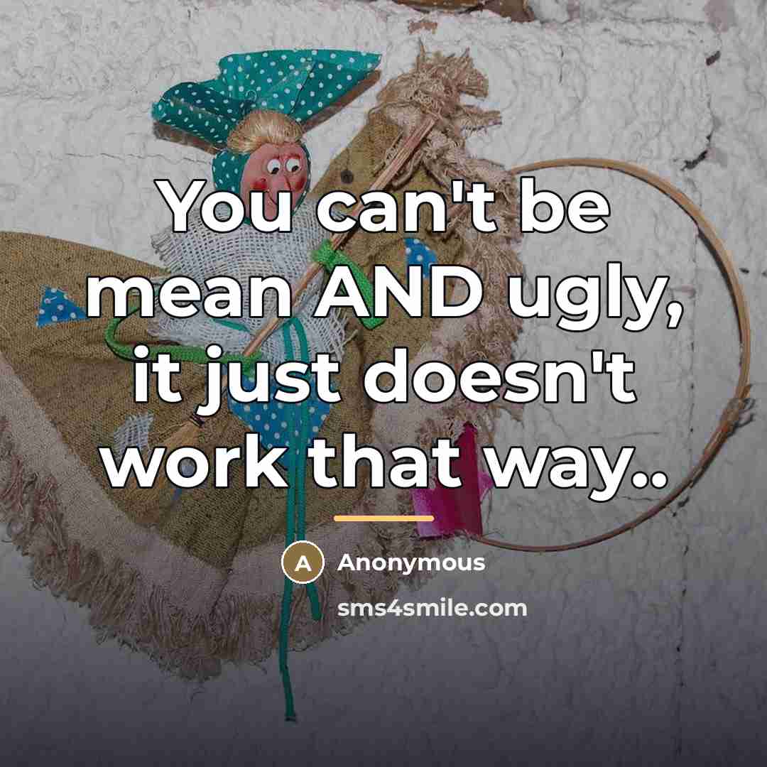 “You can't be mean AND ugly, it just doesn't work…” quote by Anonymous