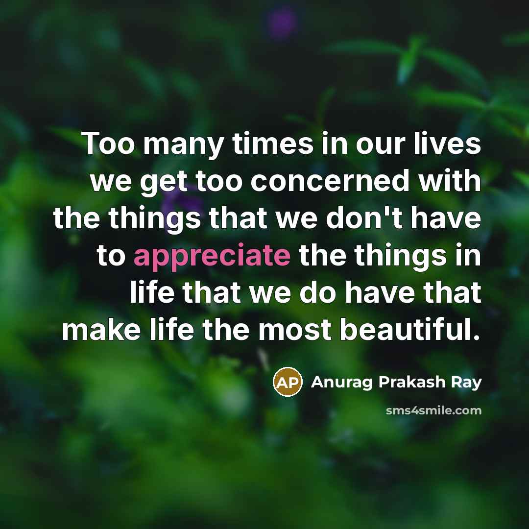 “Too many times in our lives we get too concerned…” quote by Anurag Prakash Ray