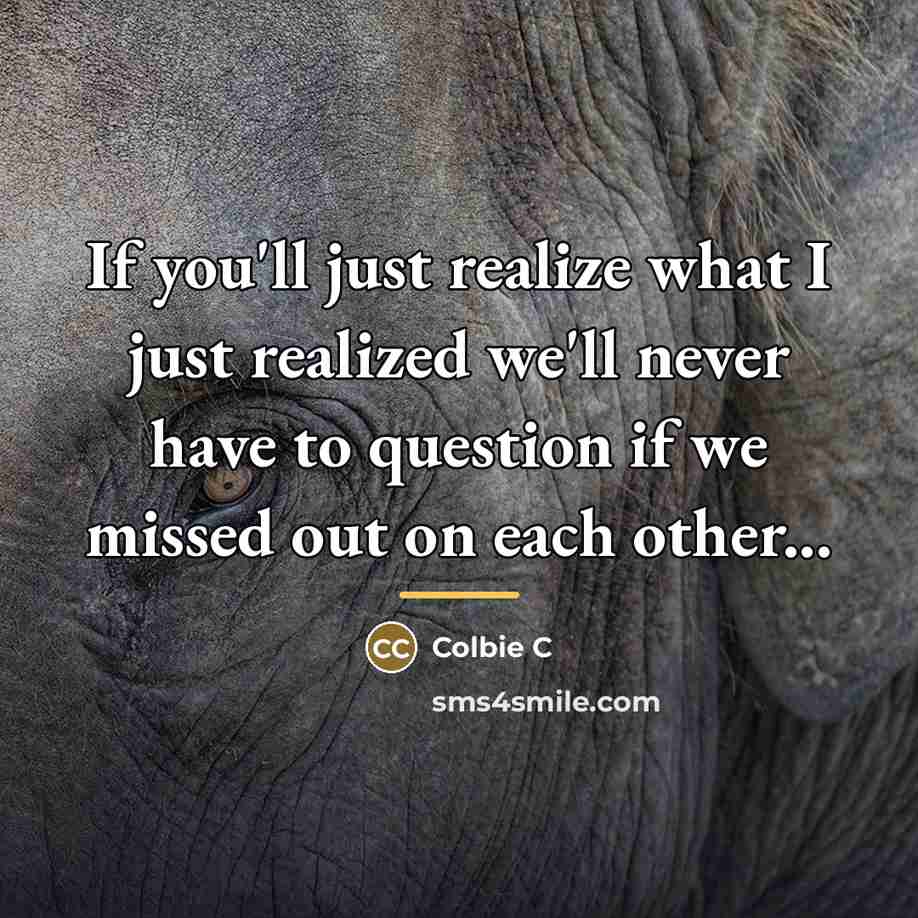 “If you'll just realize what I just realized we'll never…” quote by Anonymous