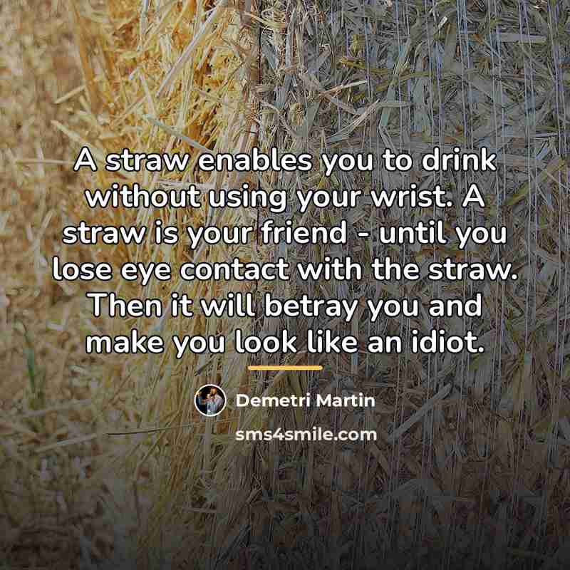 “A straw enables you to drink without using your wrist.…” quote by Demetri Martin