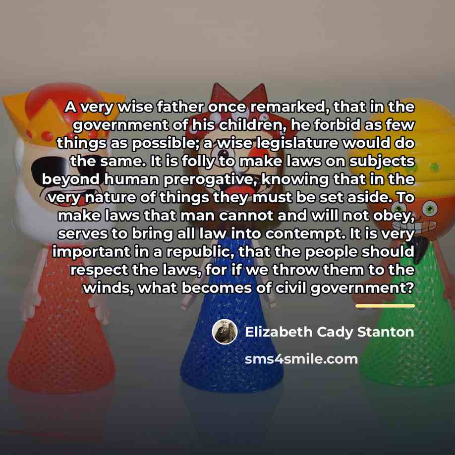 “A very wise father once remarked, that in the government…” quote by Elizabeth Cady Stanton