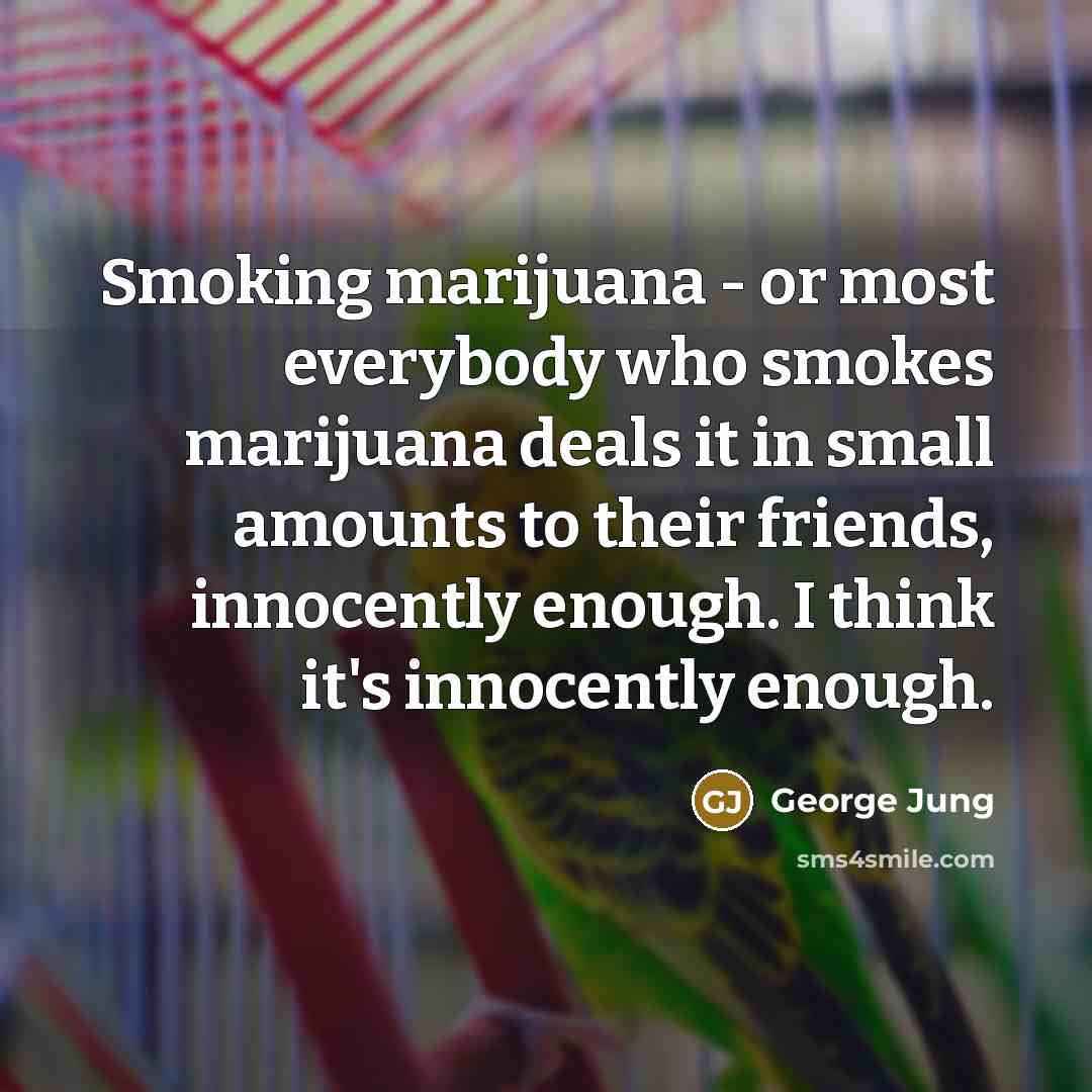 “Smoking marijuana - or most everybody who smokes marijuana deals…” quote by George Jung