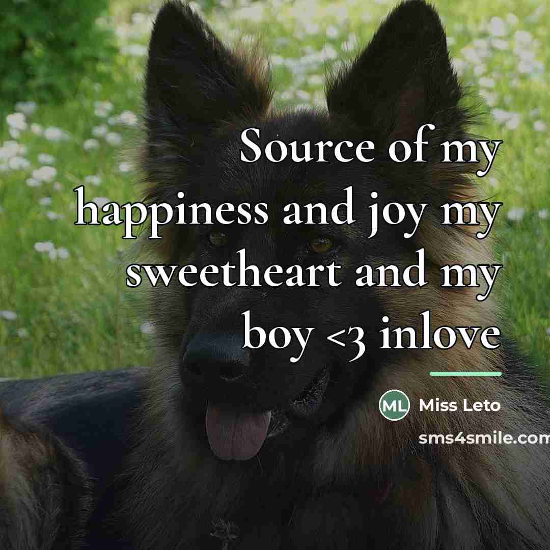 “Source of my happiness and joy my sweetheart and my…” quote by Miss Leto