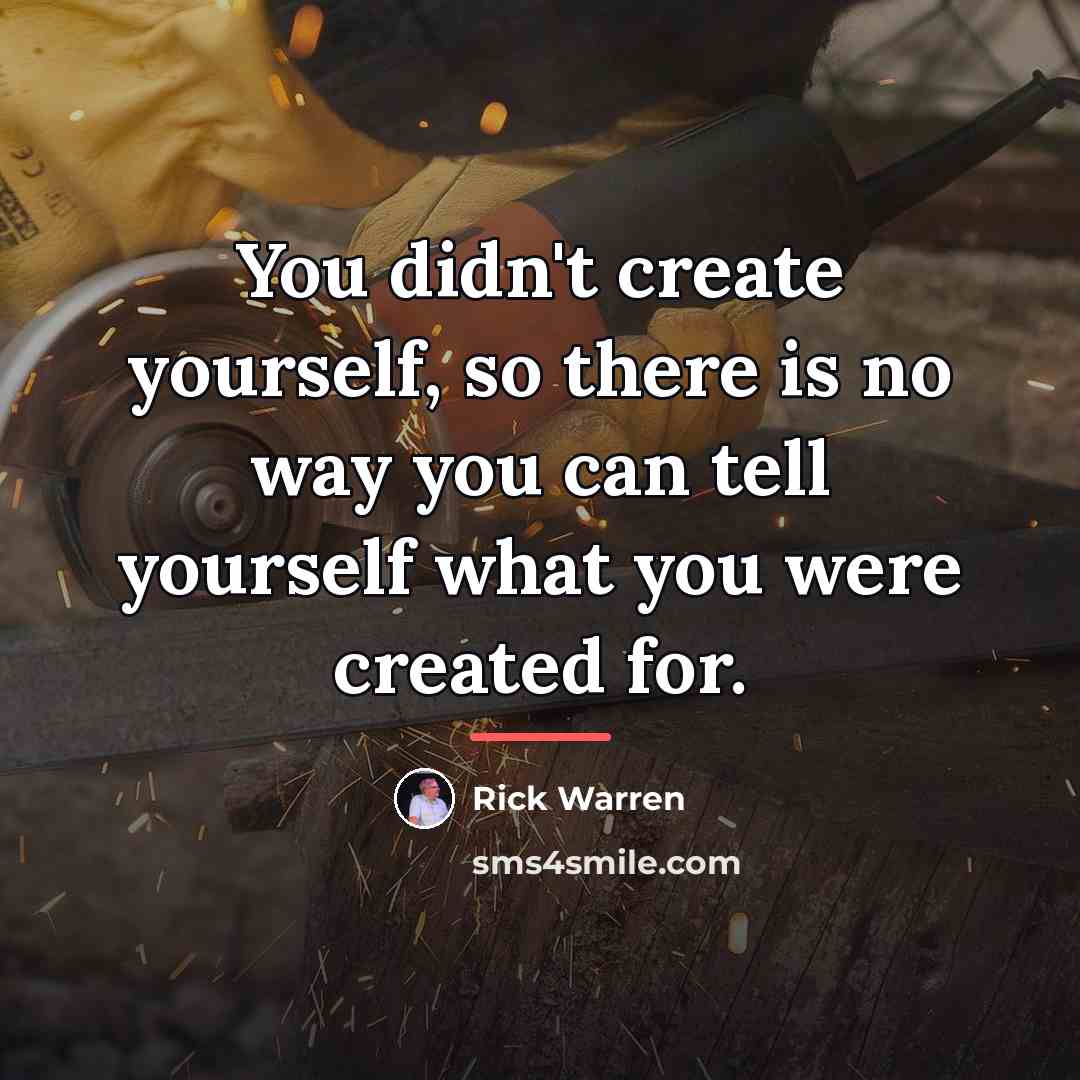 “You didn't create yourself, so there is no way you…” quote by Rick Warren