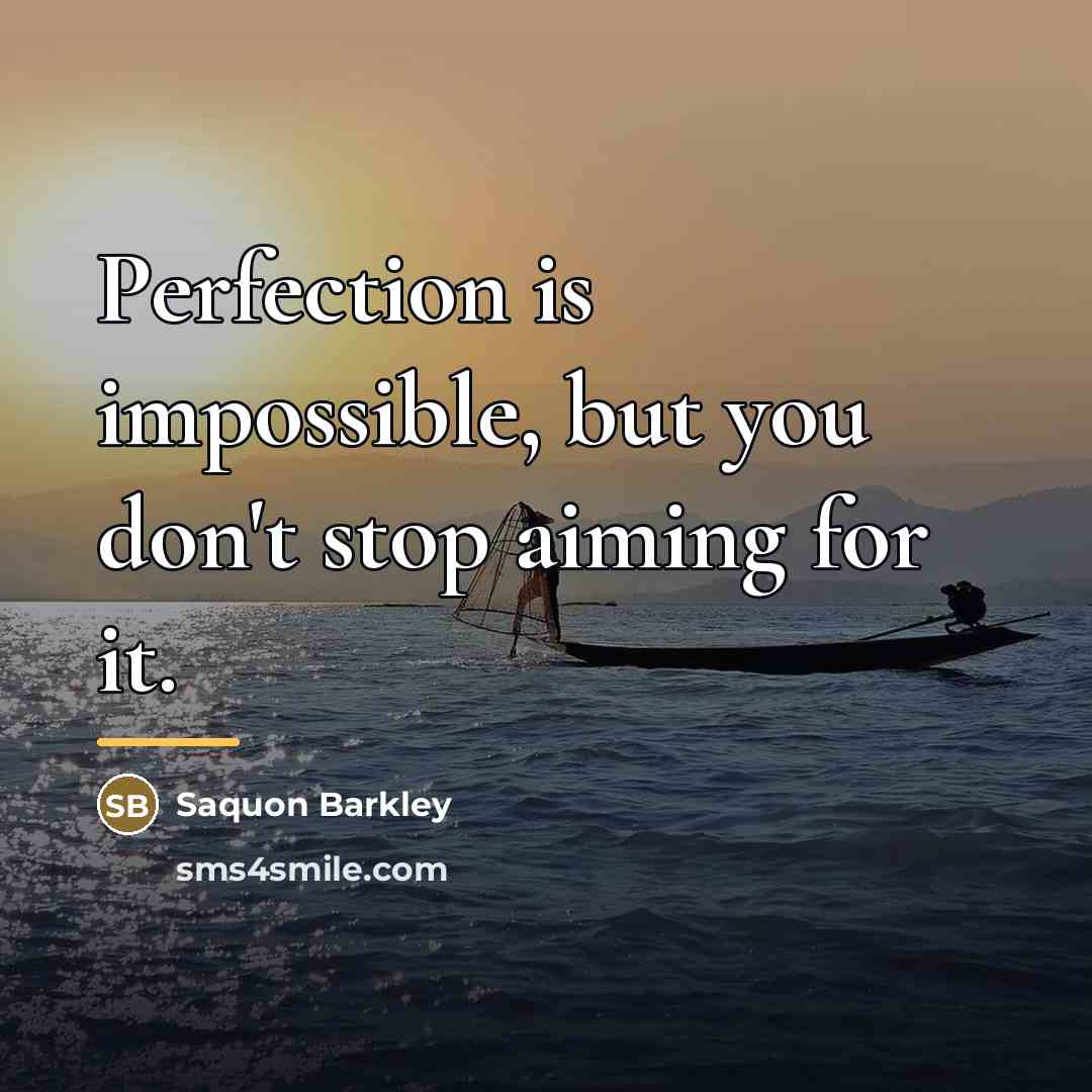 “Perfection is impossible, but you don't stop aiming for it.…” quote by Saquon Barkley