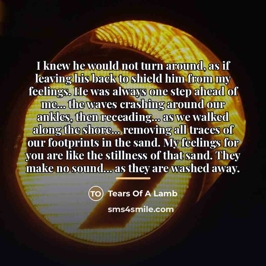“I knew he would not turn around, as if leaving…” quote by Tears Of A Lamb