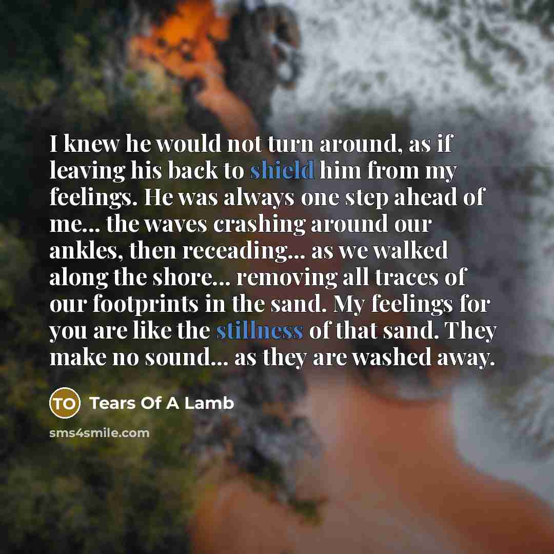 “I knew he would not turn around, as if leaving his back to shield him from my feelings. He was always one step ahead of me... the waves crashing around our ankles, then receading... as we walked along the shore... removing all traces of our footprints in the sand. My feelings for you are like the…” quote by Tears Of A Lamb