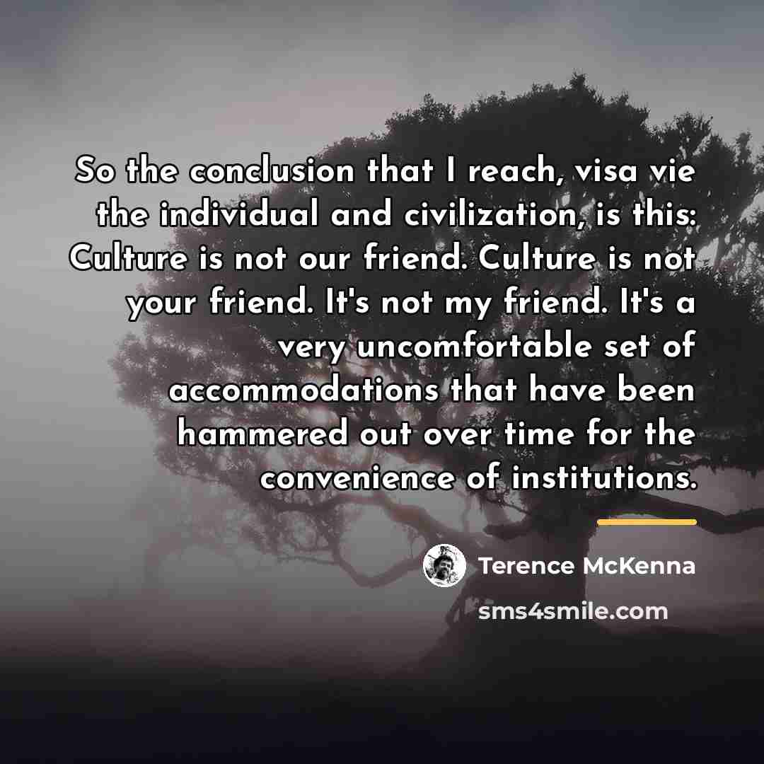 “So the conclusion that I reach, visa vie the individual…” quote by Terence McKenna