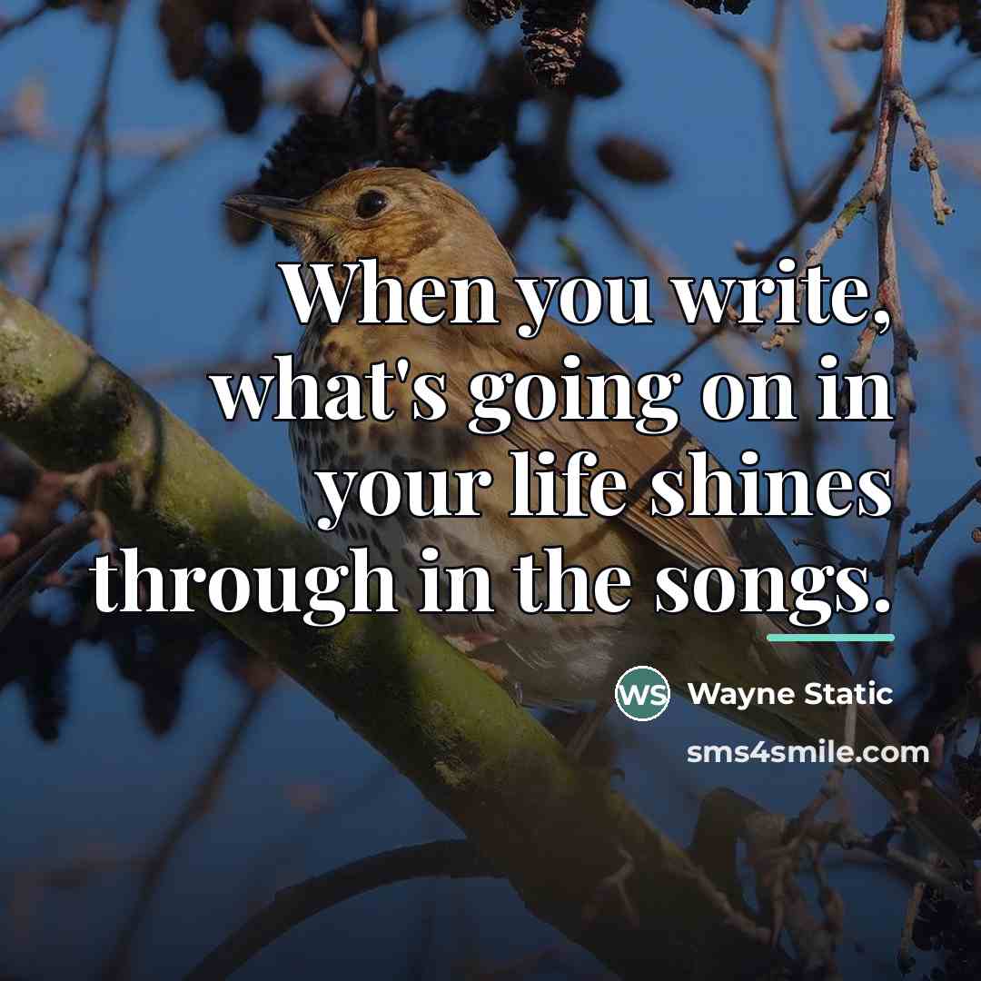 “When you write, what's going on in your life shines…” quote by Wayne Static