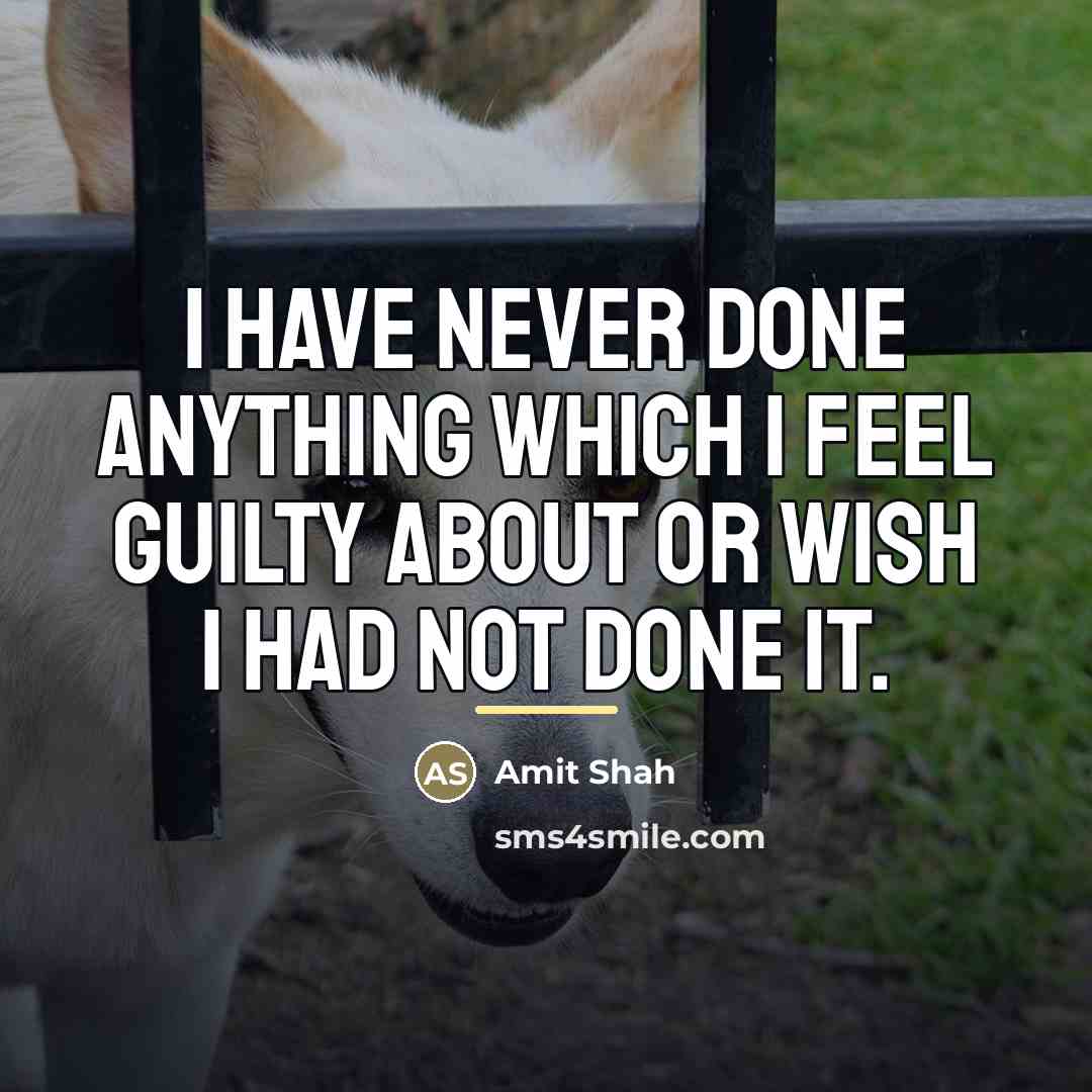 “I have never done anything which I feel guilty about…” quote by Amit Shah