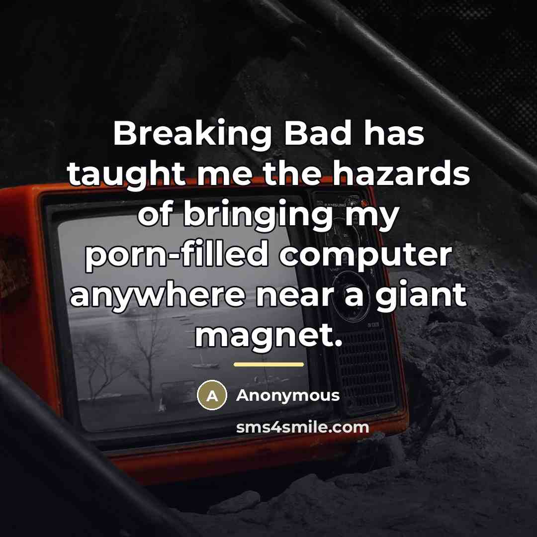 “Breaking Bad has taught me the hazards of bringing my…” quote by Anonymous