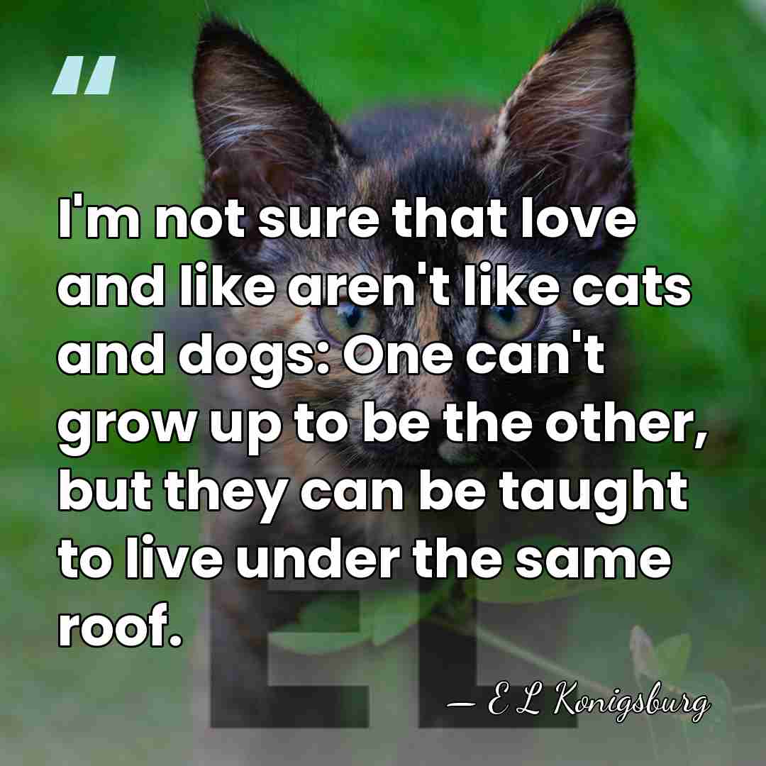 I'm not sure that love and like aren't like cats and dogs:&hellip; - E L Konigsburg