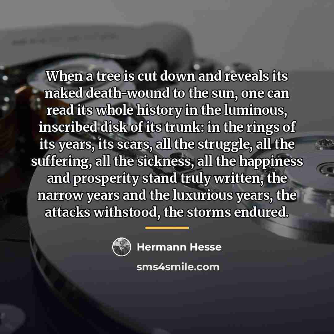 “When a tree is cut down and reveals its naked…” quote by Hermann Hesse