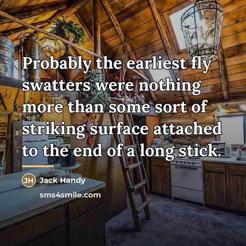 “Probably the earliest fly swatters were nothing more than some…” quote by Jack Handy