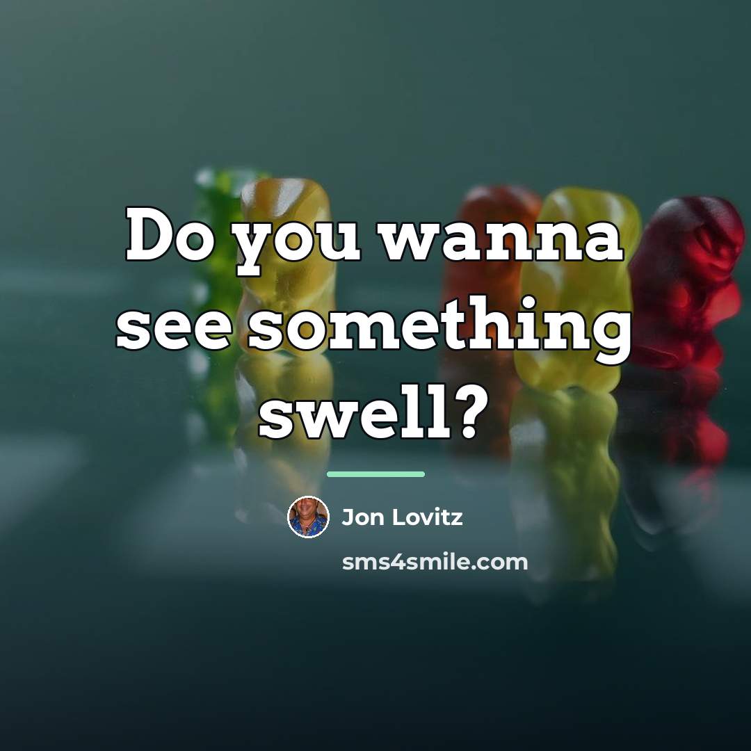 “Do you wanna see something swell?…” quote by Jon Lovitz