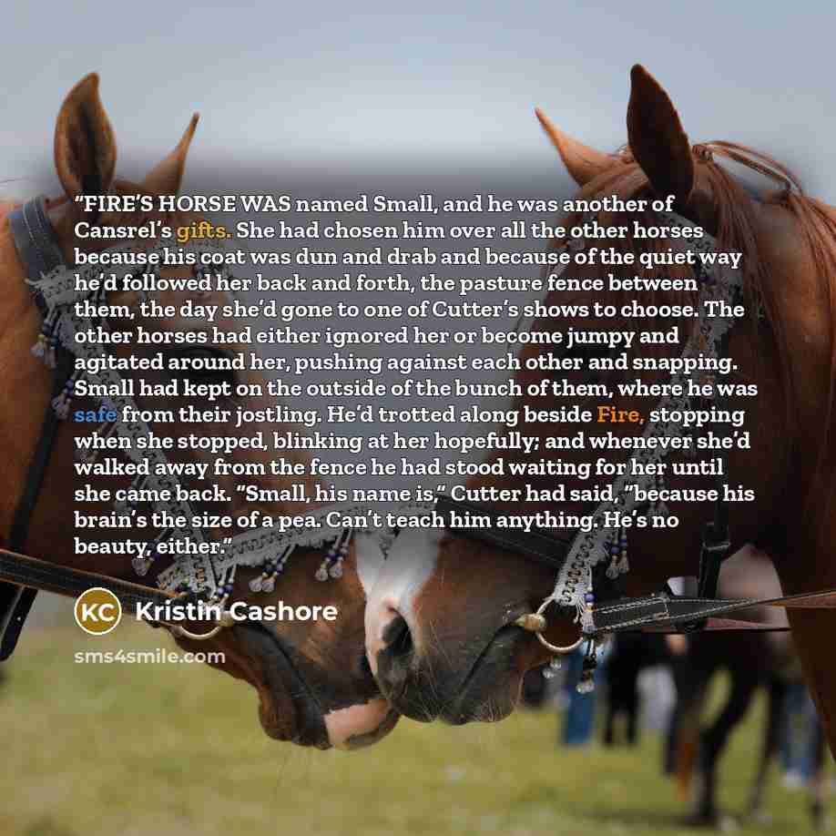 “FIRE’S HORSE WAS named Small, and he was another of Cansrel’s gifts. She had chosen him over all the other horses because his coat was dun and drab and because of the quiet way he’d followed her back and forth, the pasture fence between them, the day she’d gone to one of Cutter’s shows to choose…” quote by Kristin Cashore