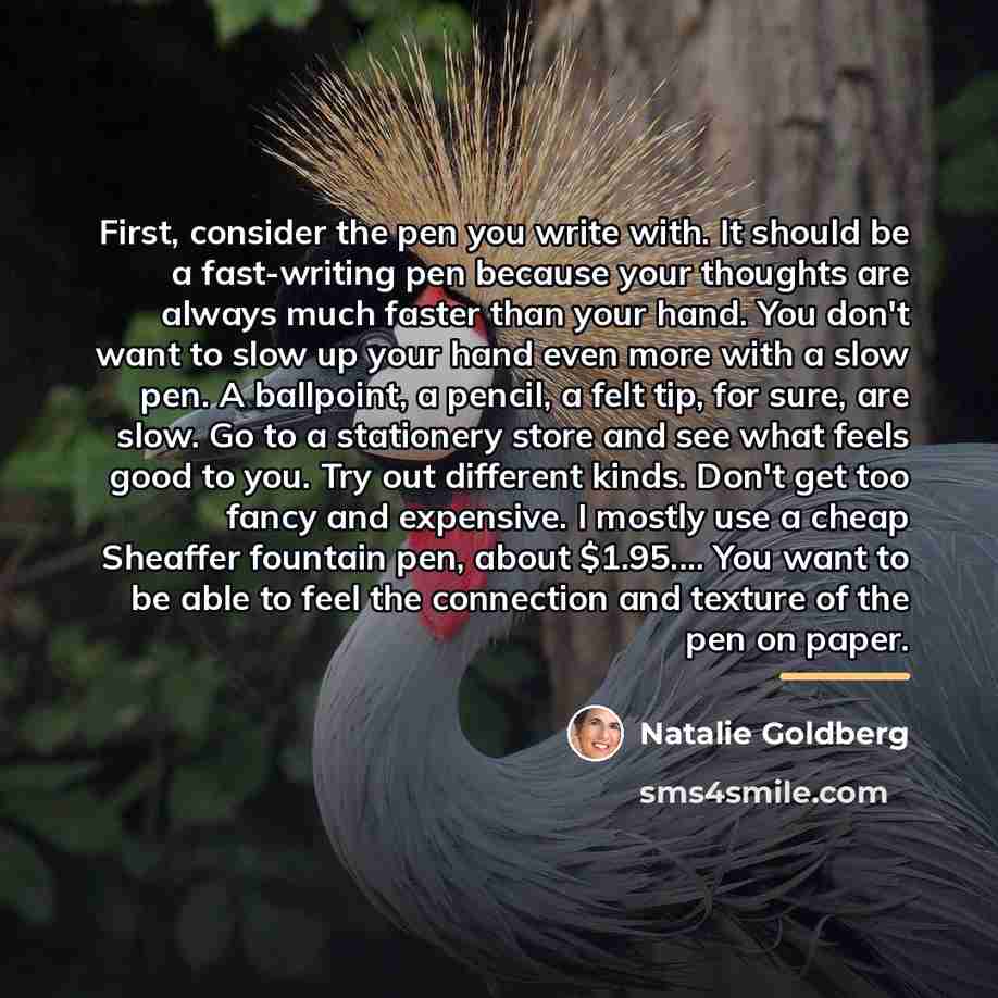 “First, consider the pen you write with. It should be…” quote by Natalie Goldberg