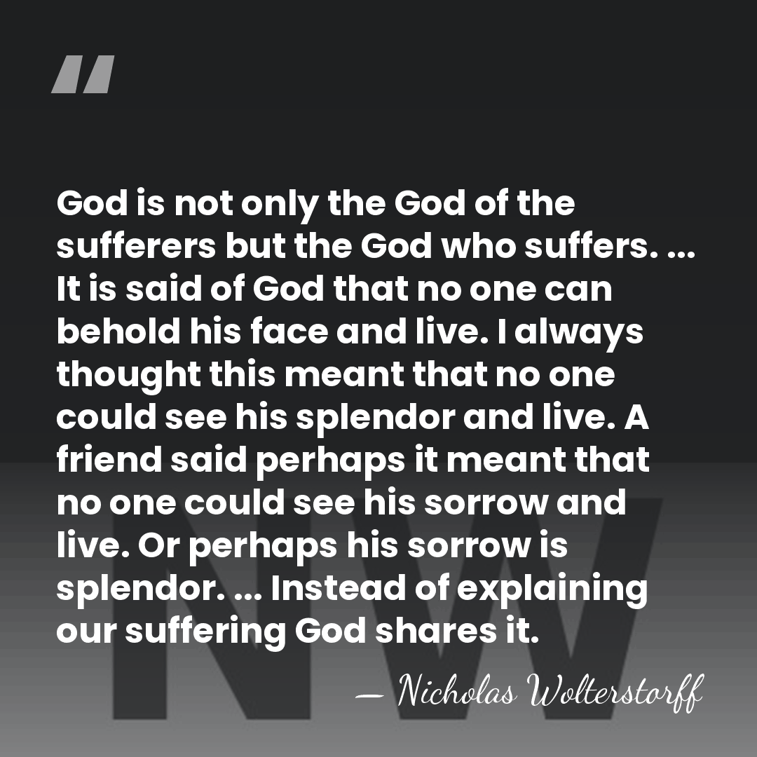 God is not only the God of the sufferers but the God&hellip; - Nicholas Wolterstorff
