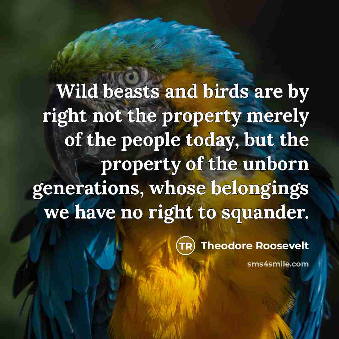 “Wild beasts and birds are by right not the property…” quote by Theodore Roosevelt