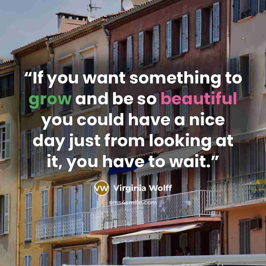 “If you want something to grow and be so beautiful you could have a nice day just from looking at it, you have to wait.” quote by Virginia Wolff