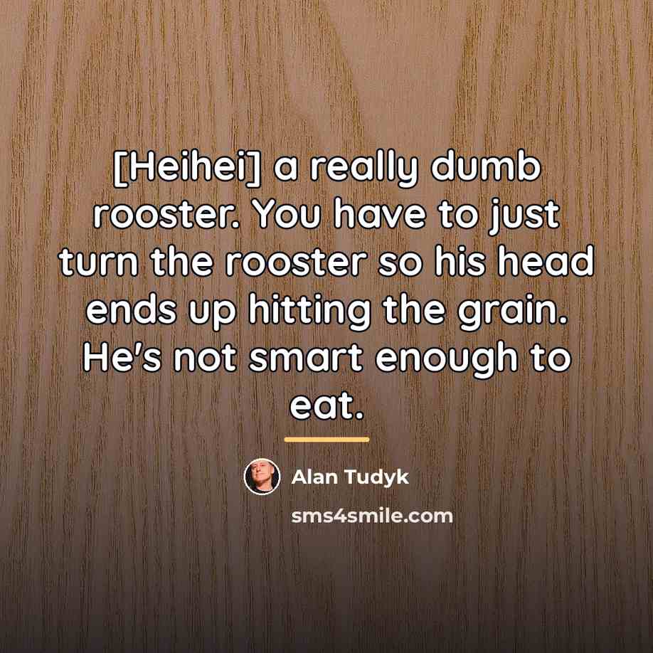 “[Heihei] a really dumb rooster. You have to just turn…” quote by Alan Tudyk