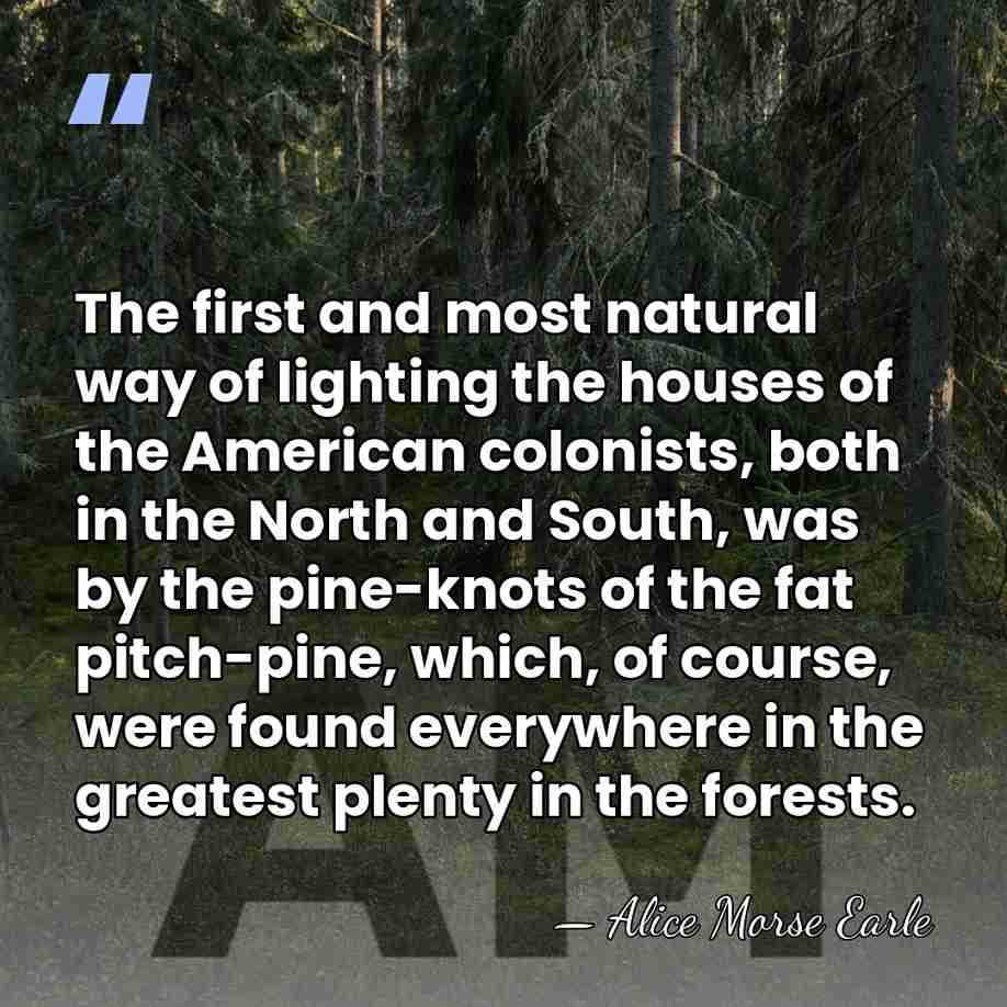 The first and most natural way of lighting the houses of the&hellip; - Alice Morse Earle