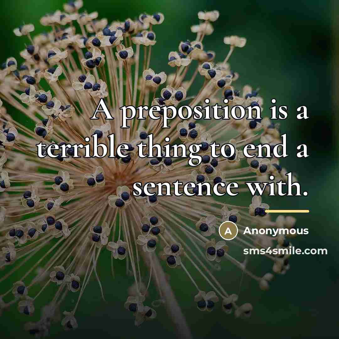 “A preposition is a terrible thing to end a sentence…” quote by Anonymous