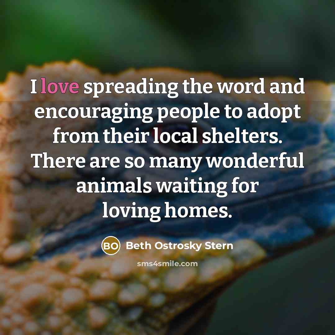 “I love spreading the word and encouraging people to adopt…” quote by Beth Ostrosky Stern