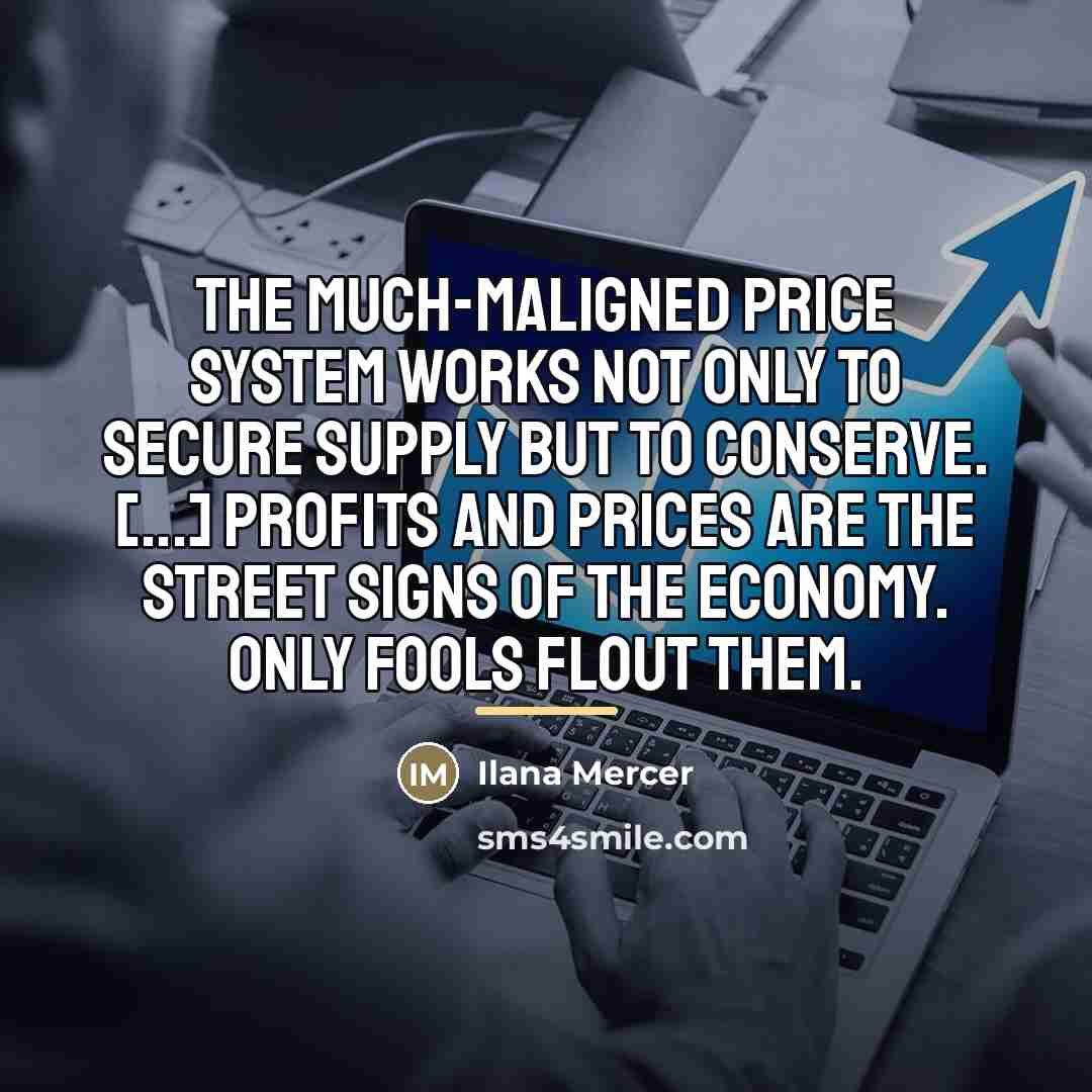 “The much-maligned price system works not only to secure supply…” quote by Ilana Mercer