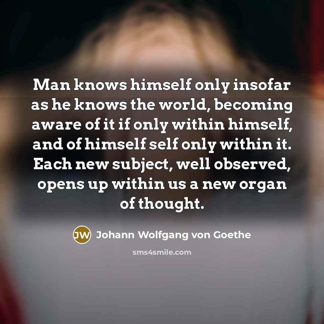 “Man knows himself only insofar as he knows the world,…” quote by Johann Wolfgang von Goethe