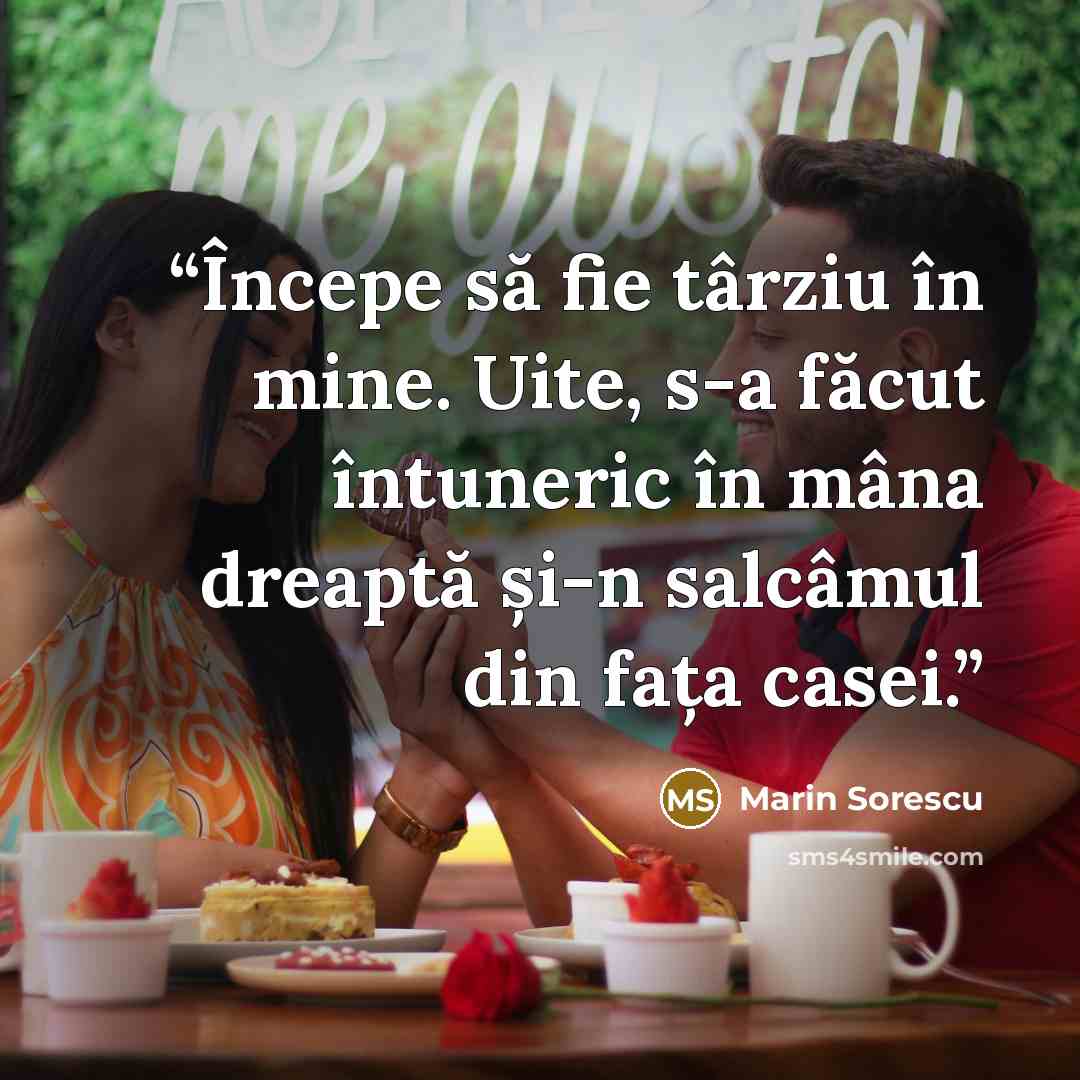 “Începe să fie târziu în mine. Uite, s-a făcut întuneric în mâna dreaptă și-n salcâmul din fața casei.” quote by Marin Sorescu