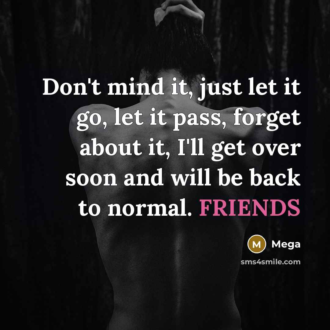 “Don't mind it, just let it go, let it pass, forget about it, I'll get over soon and will be back to normal. FRIENDS” quote by Mega