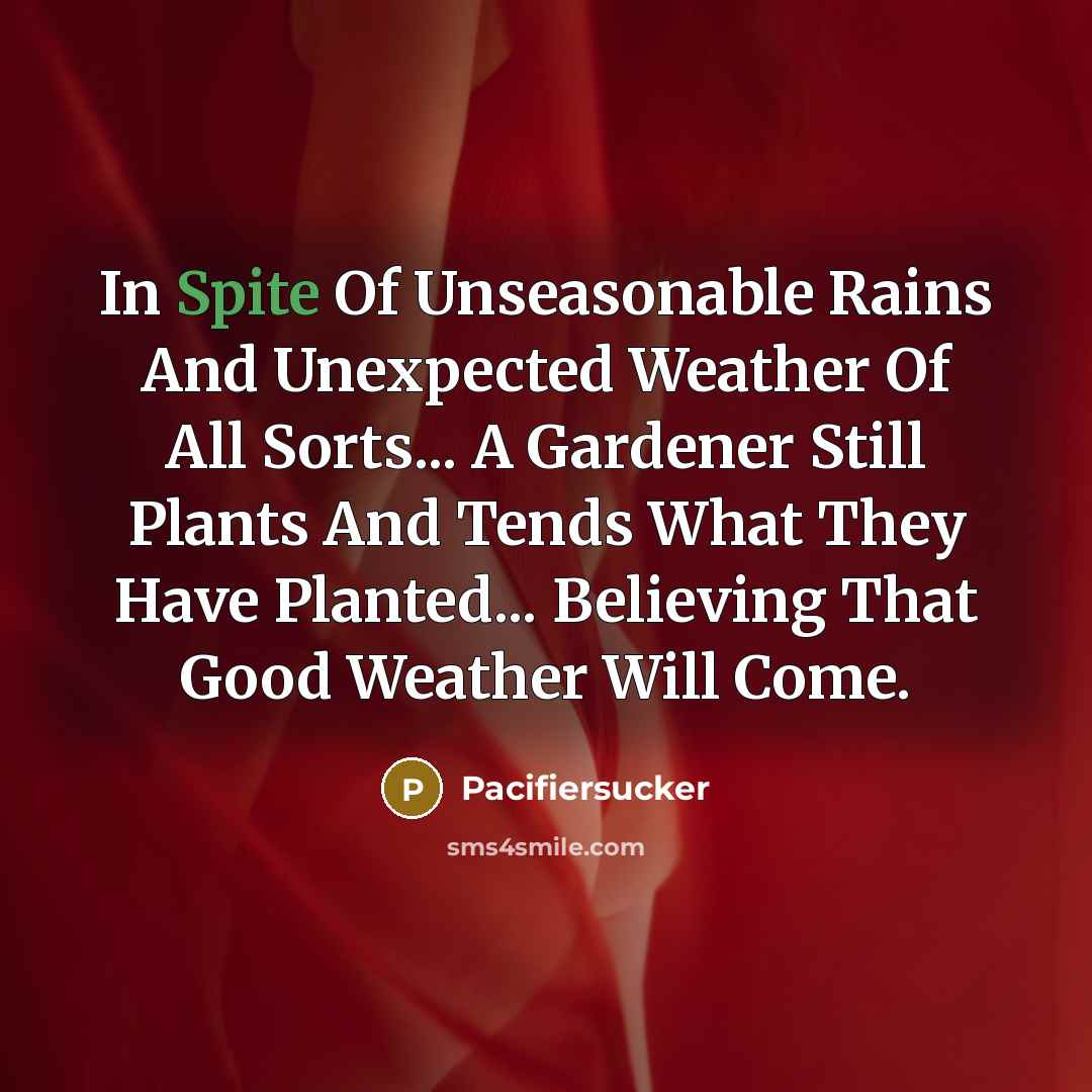 “In Spite Of Unseasonable Rains And Unexpected Weather Of All…” quote by Pacifiersucker