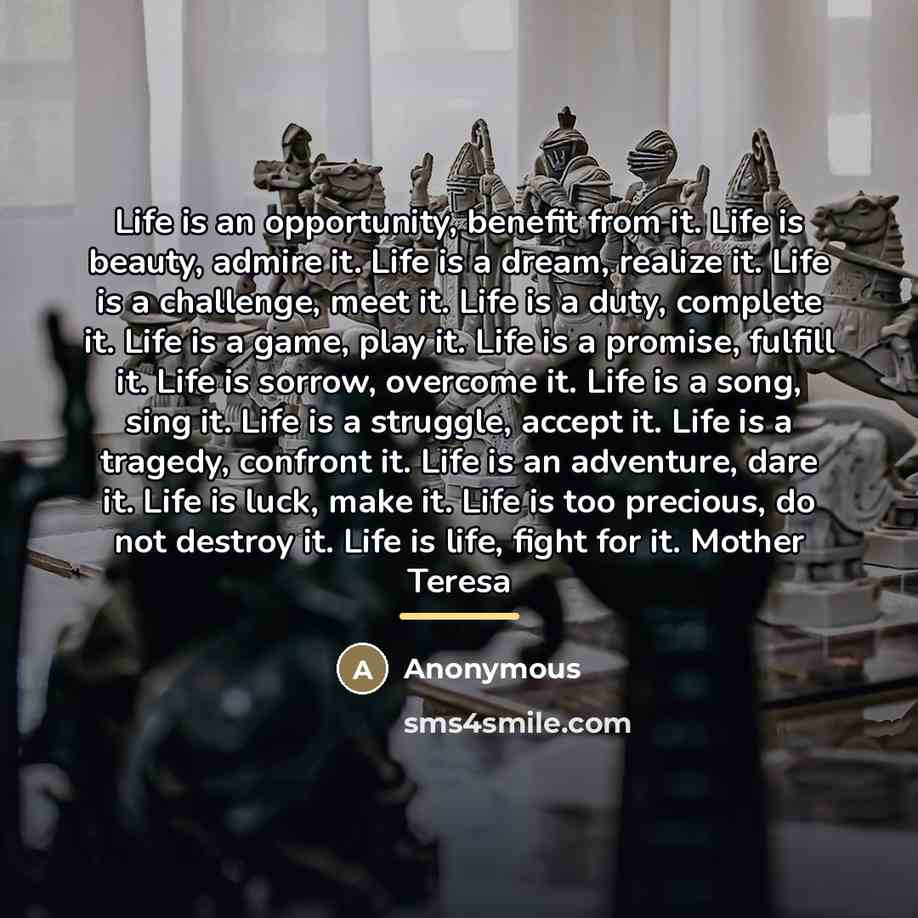 “Life is an opportunity, benefit from it. Life is beauty,…” quote by Anonymous