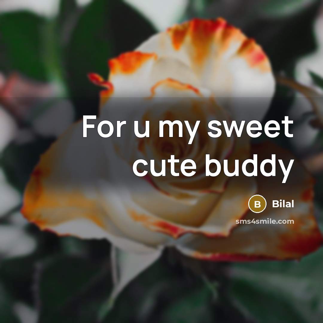 “For u my sweet cute buddy…” quote by Bilal