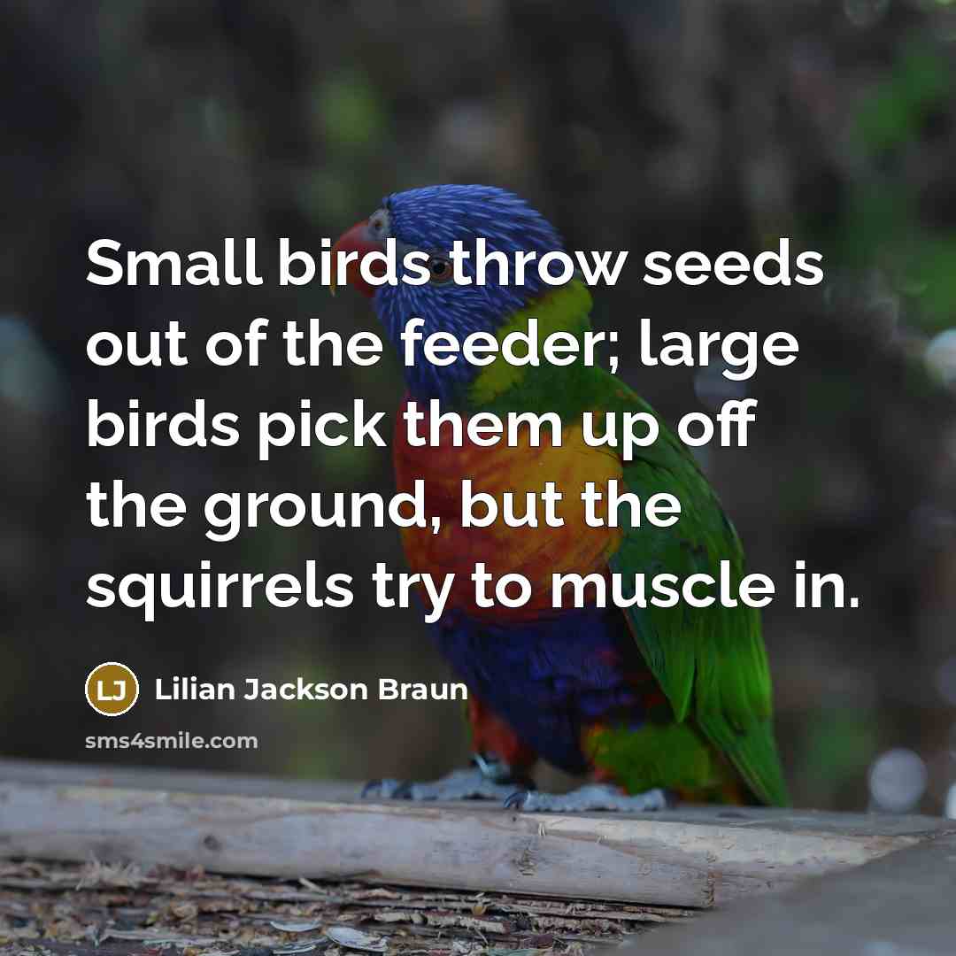 “Small birds throw seeds out of the feeder; large birds…” quote by Lilian Jackson Braun