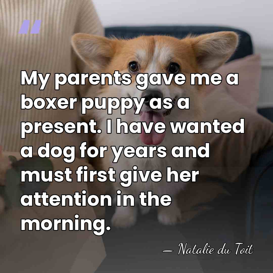 My parents gave me a boxer puppy as a present. I have&hellip; - Natalie du Toit