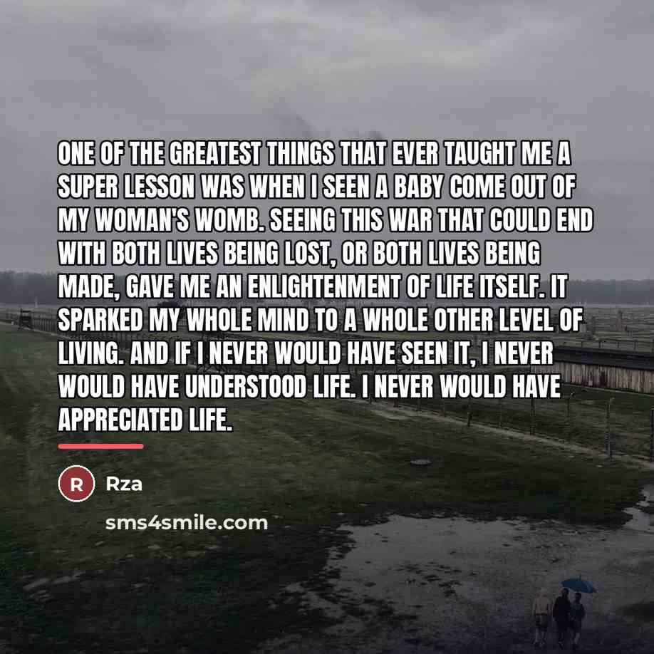 “One of the greatest things that ever taught me a…” quote by RZA