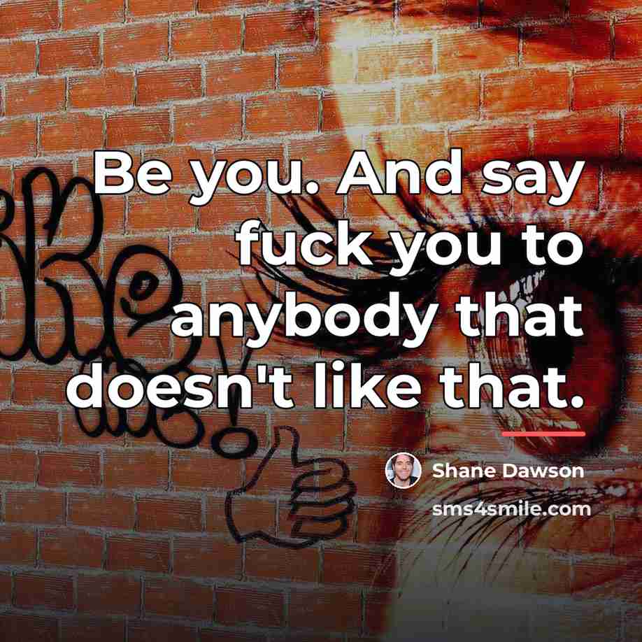 “Be you. And say fuck you to anybody that doesn't…” quote by Shane Dawson
