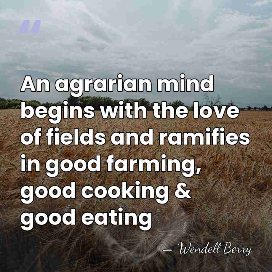 An agrarian mind begins with the love of fields and ramifies in&hellip; - Wendell Berry