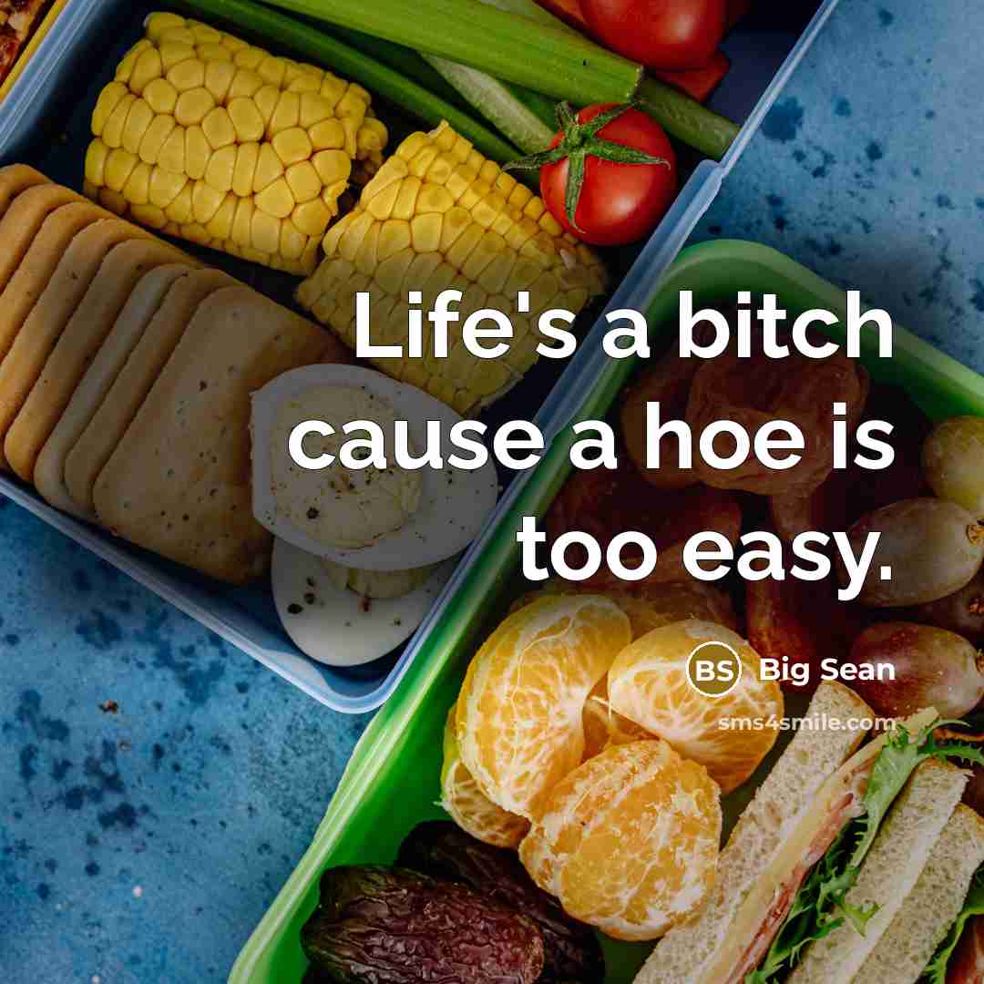 “Life's a bitch cause a hoe is too easy.…” quote by Big Sean